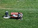 180802_114Baie St-Paul.JPG